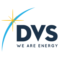 dvs